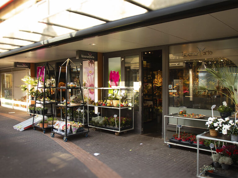 Bloemenvaria_Winkelcentrum_Hoogzandveld_2